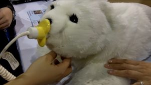 ces-2011-robots-paro-therapeutic-seal