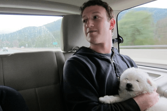 mark-zuckerberg-puppy-beast