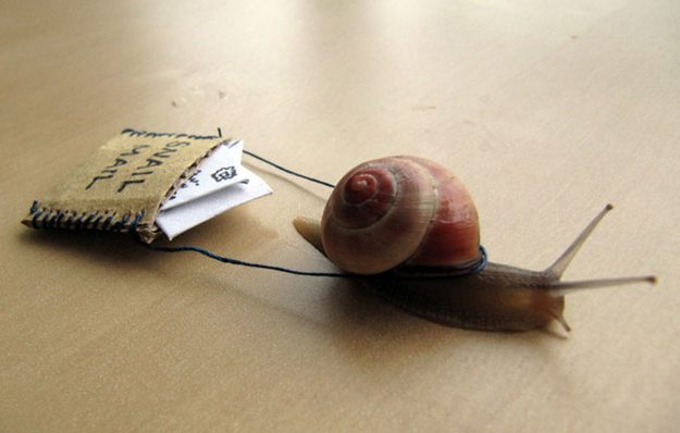 snail-mail