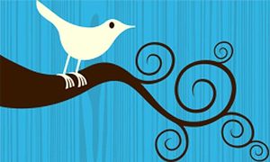 Twitter-bird-001