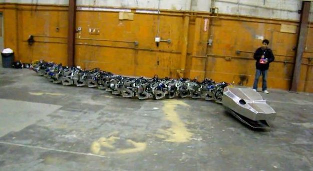 titanoboa length