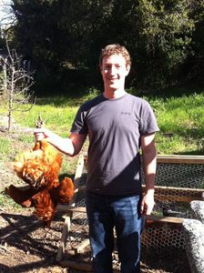 facebook-zuckerberg-chicken