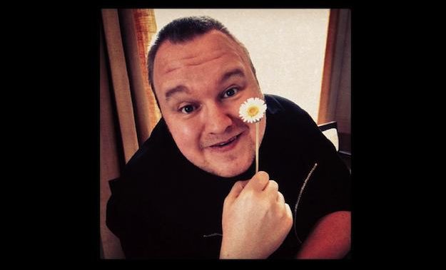Megaupload court case