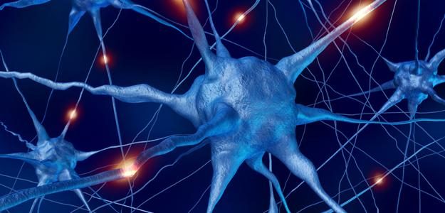 brain neurons memory internet