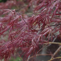 pentax k30 weather sealed digital dslr camera sample image1