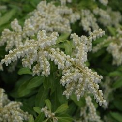 pentax k30 weather sealed digital dslr camera sample image4