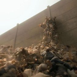 World War Z special effects wall