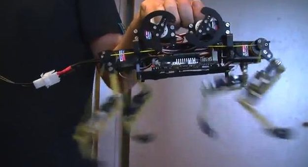 cheetah-cub robot biorob