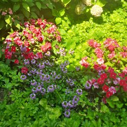 BlackBerry Q10 sample image 4