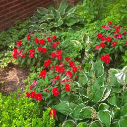 BlackBerry Q10 sample image 5