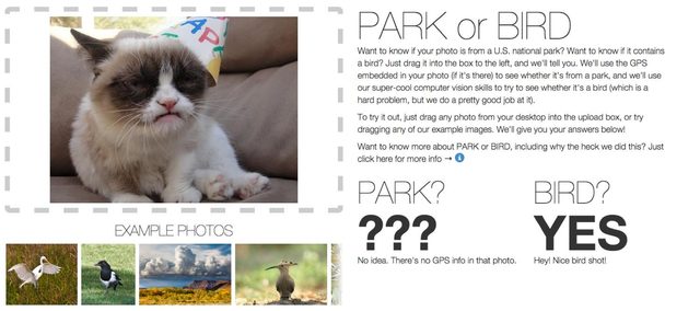 It's not perfect, as this image upload shows. Flickr couldn't determine where it was shot due to missing GPS info, but it also thought this famous Internet feline is a bird.