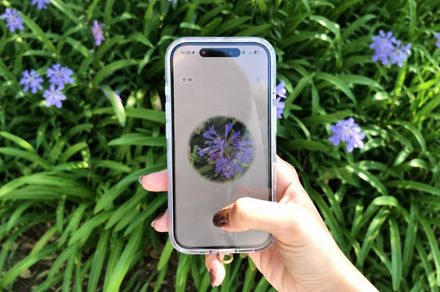 This flower identification app turns every walk into Pokémon Go for plants