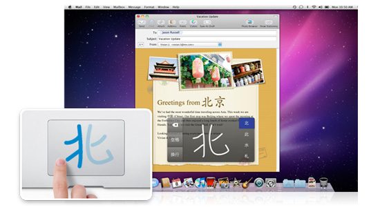 Snow Leopard offers innovative Chinese character inputSnow Leopard offers innovative Chinese character input