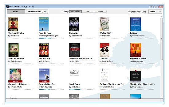 Kindle for PCs (beta screenshot)