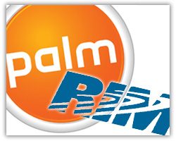 Rim Palm