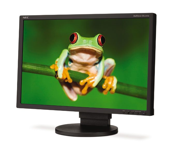 NEC MultiSync EA222WMe