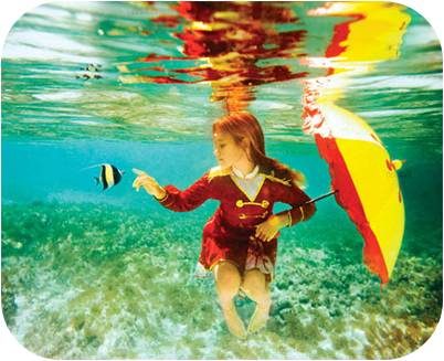 Underwater Photography