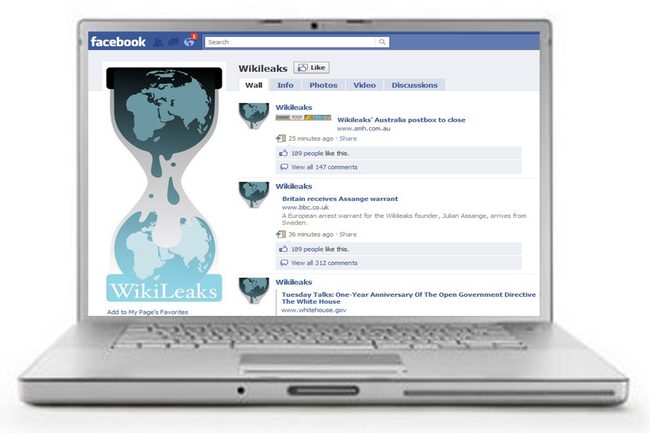 Wikileaks students
