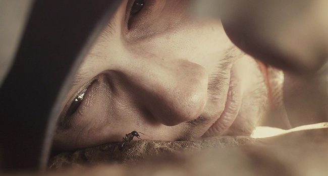127-hours-bug-face