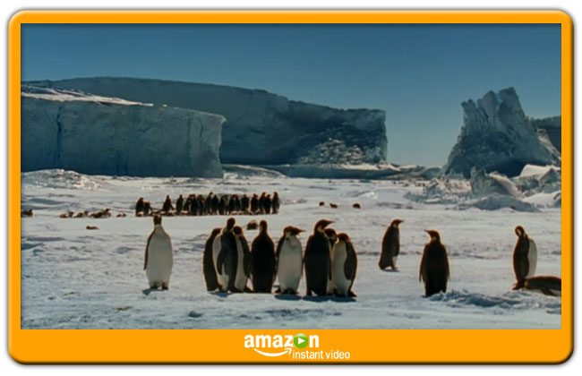 March of the Penguins Amazon