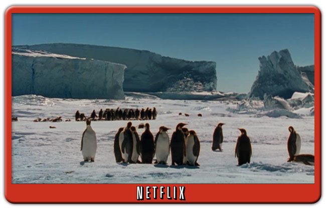 March of the Penguins Netflix