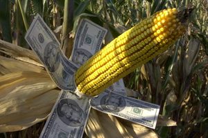content-farms-google