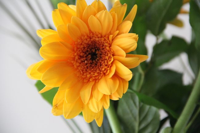 Canon T3i Sample Photo