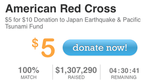 LivingSocial-charity-Japan-daily-deal