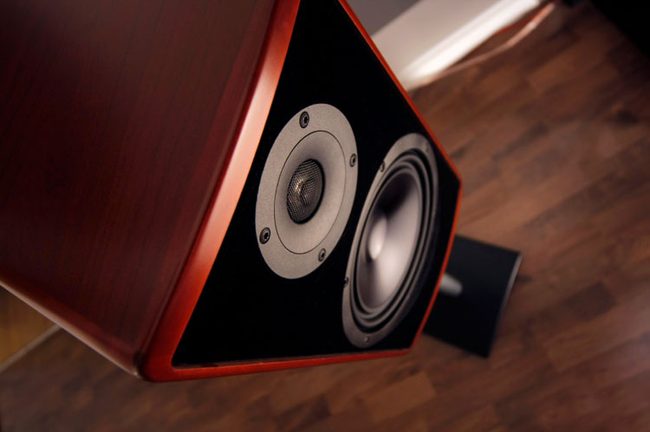 Speaker