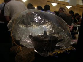 cookSack