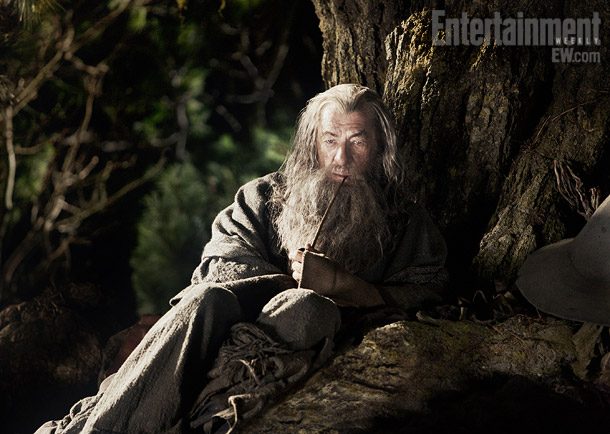 Ian McKellan via Entertainment Weekly