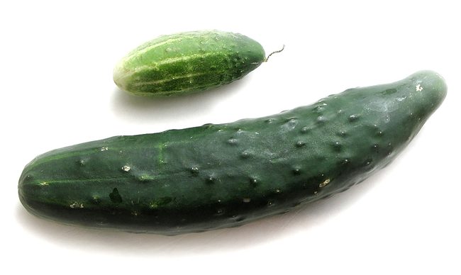 cucumbers