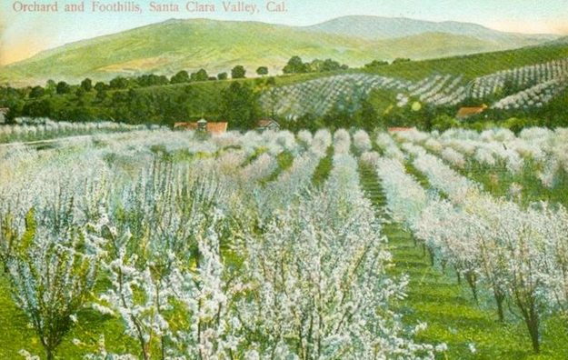 valley of heart's delight