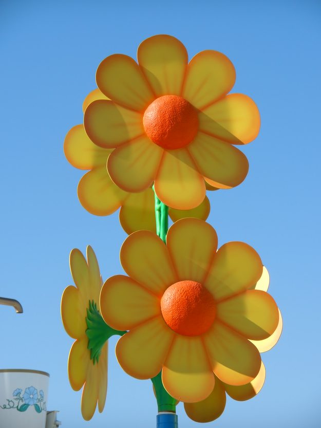JVC-GC-PX10-flower-sample-picture