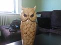 nokia-lumia-900-sample-picture-owl