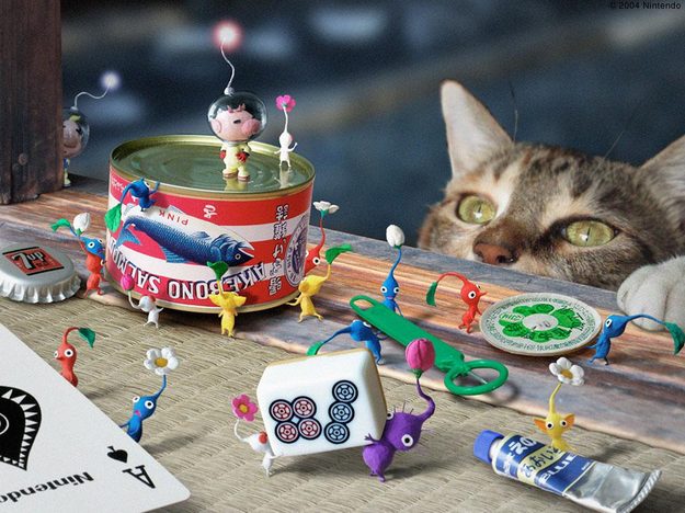 pikmin-cat