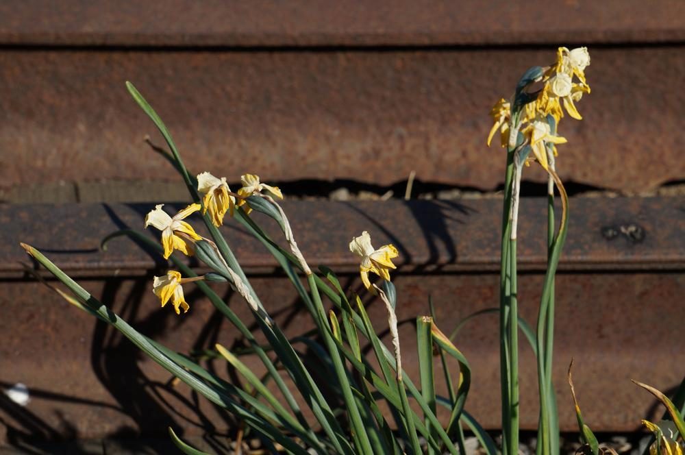 Outdoor shots are great with the Alpha NEX F3, with ample sunlight.