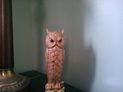 Asus Transformer Infinity Pad review camera sample inside owl google android tablet rear camera