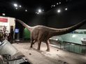 Samsung Galaxy S3 review camera shot inside museum dinosaur low light no flash
