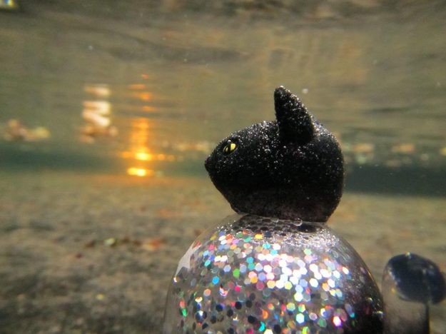 canon powershot d20 review underwater macro