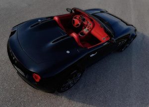 Tauro V8 Spider rear overhead view