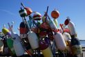 Sony Alpha SLT A77 review sample outdoor buoys angle dslr