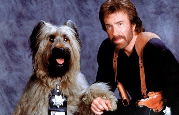 Chuck Norris