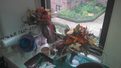Droid RAZR MAXX HD review camera sample indoor flowers android motorola