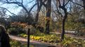 Droid RAZR MAXX HD review camera sample outdoor park android smartphone