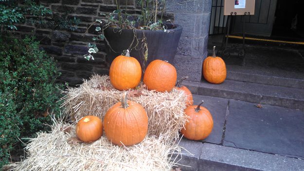 Droid RAZR MAXX HD review camera sample pumpkins motorola android