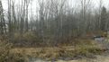 HTC Windows Phone 8X review camera sample back yard windows phone 8