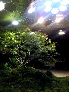 Lowline tree