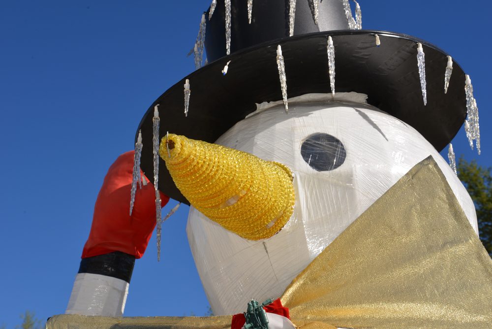 Nikon D600 review sample snowman dslr