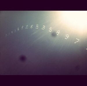pi in the sky instagram @becauseimsuperdiane